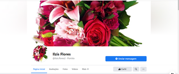 Ilzis Flores